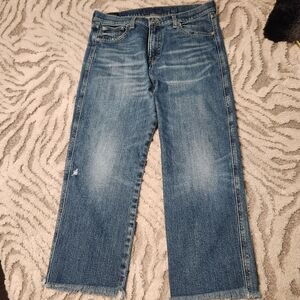 Cropped Straight Leg Lucky Brand Jeans, Sz 10/30